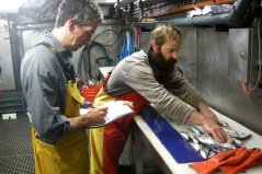 BENTHIS researchers Depestele and Laffargue are  preparing the birds’ meals.