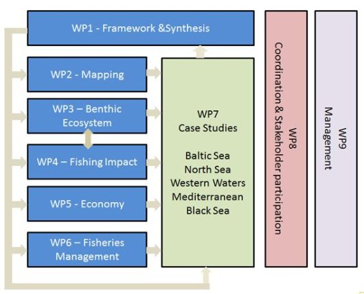 Working Packages and Case Studies BENTHIS.