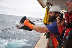 Feeding the seabirds