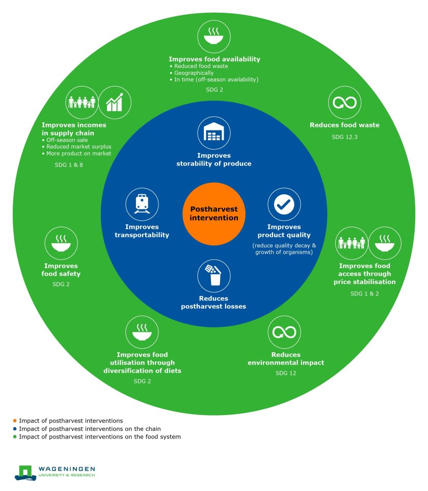 Infographic on Postharvest Interventions