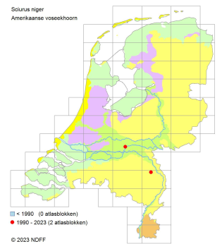 Verspreidngskaart Amerikaanse voseekhoorn